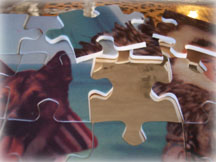 plastic jigsaw puzzle